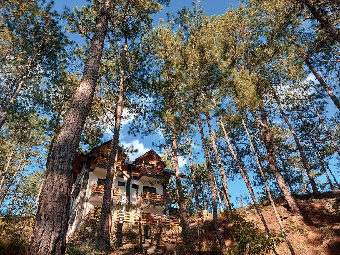 Sagada Pine Mist Mountain Lodge